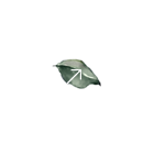 round.png